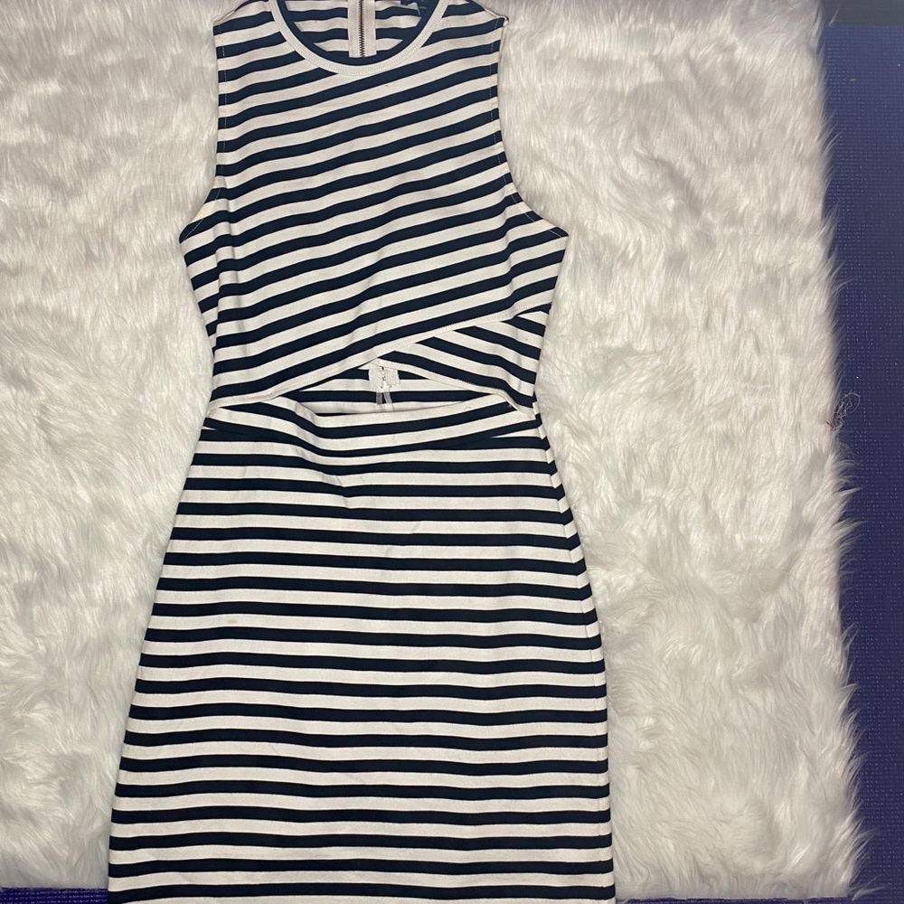 Express Striped Dress